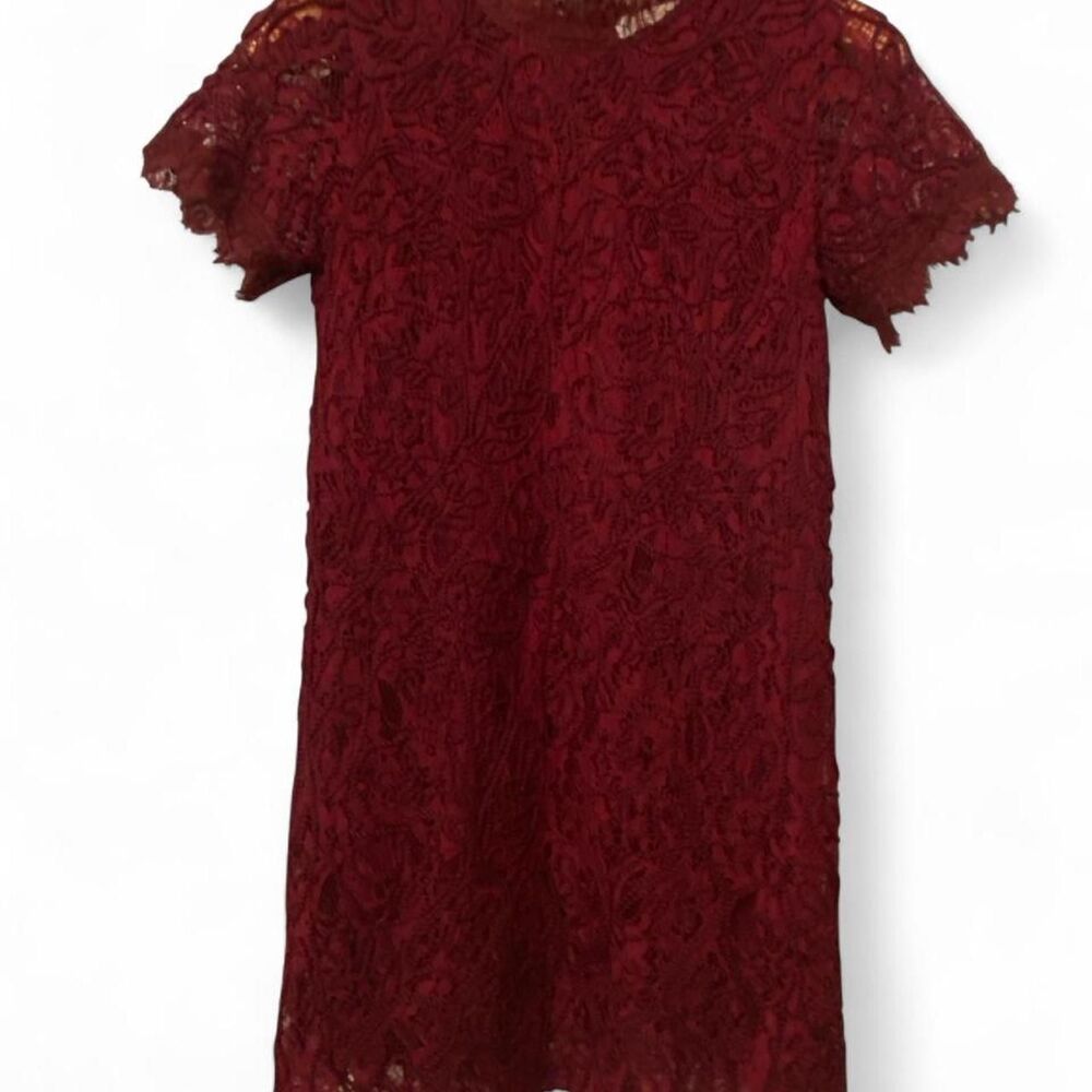 loveriche Burgundy lace embroidered mini dress S